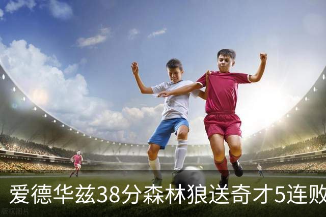 爱德华兹38分森林狼送奇才5连败 活塞力克黄蜂